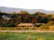 Tansania, Lake Manyara NP., Lemala Manyara Camp - afrika.de